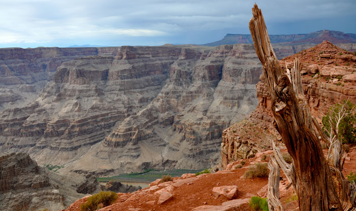 Garand Canyon Stump